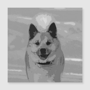 IslandêsSheepdog20151203