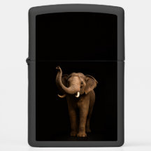 Isqueiro Zippo com Elefante Poderoso