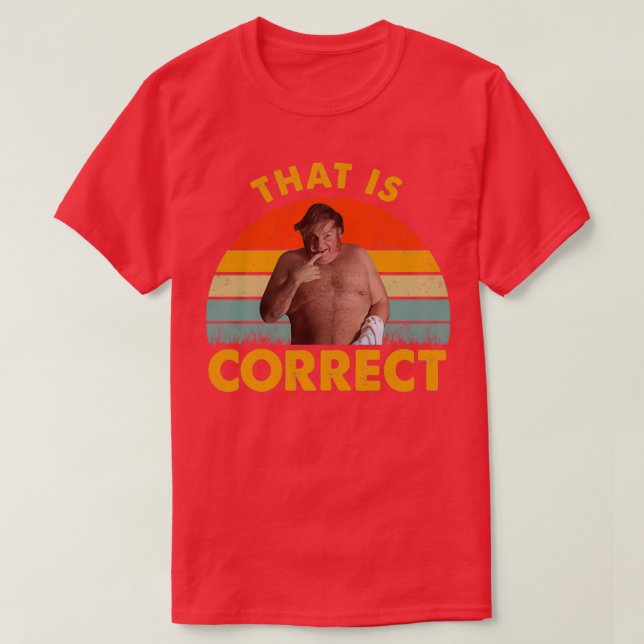 Isso É Uma Camisa Correta (Frente do Design)