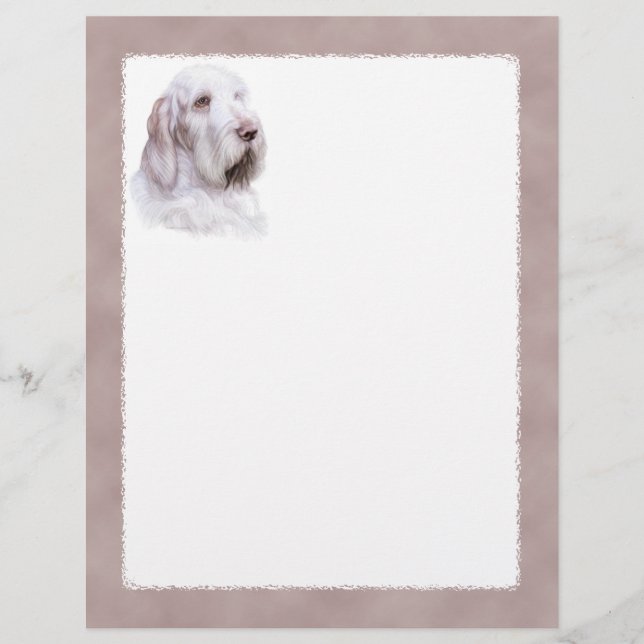 Italiano Spinone Italiano (Frente)