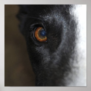 I've obteve a meu olho em você - o poster