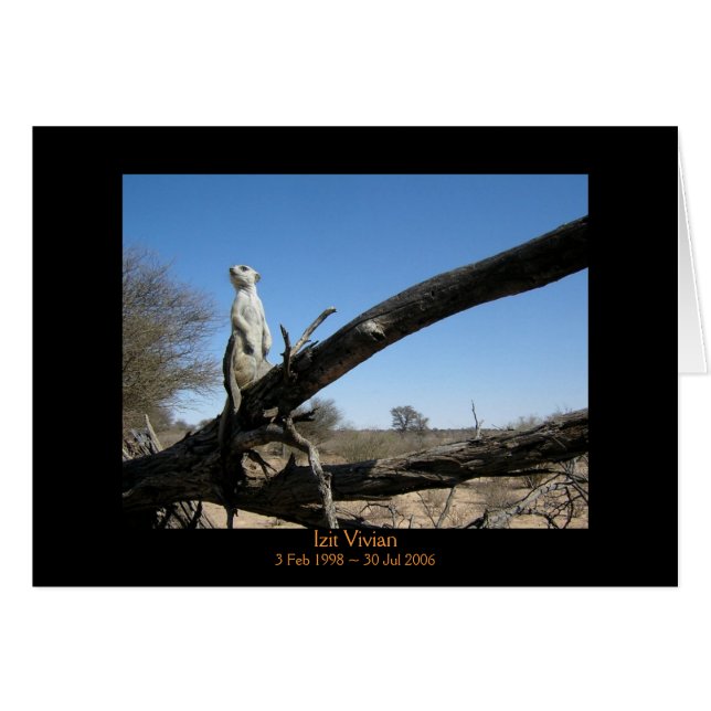 Izit - cartão das legendas (Frente Horizontal)