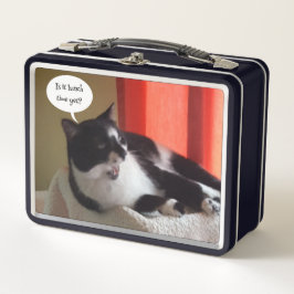 Já é hora do almoço, lancheiras de gatos de smokin