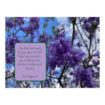 Jacaranda Purple Poster