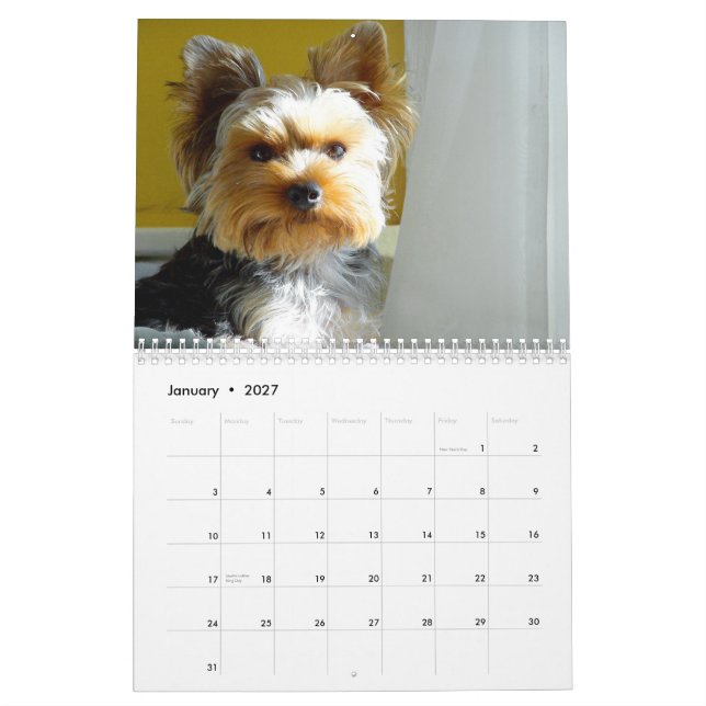 "Jack" o Yorkie - calendário 2014 (Jan 2027)
