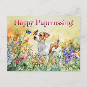 Jack Russell Postcross - Cartão postal