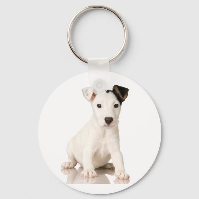 Jack Russell Terrier Chaveiro (Frente)
