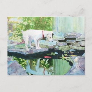 Jack Russell Terrier nº 1 Cartão postal