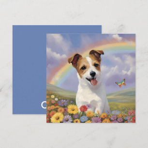 Jack Russell Terrier Rainbow - Nome do Cachorro Pe
