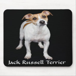Jack Russell Terrier Retrait Mousepad
