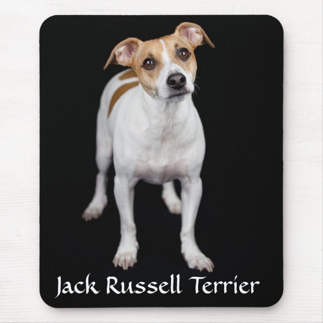Jack Russell Terrier Retrait Mousepad (Frente)