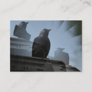 Jackdaw Bird Cartão de visita