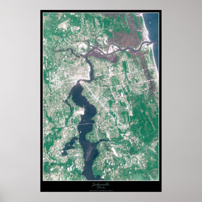 Jacksonville, Poster de Satélite da Flórida (Frente)