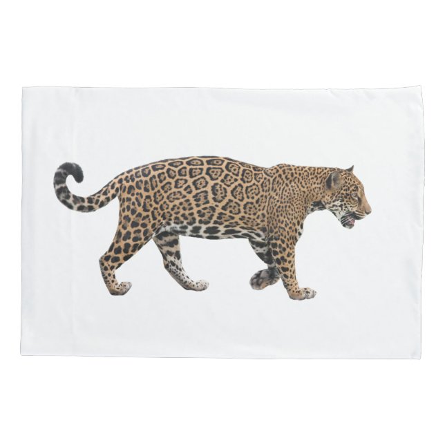 Jaguar (Verso)