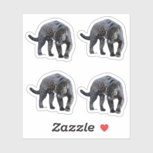 Jaguar Diablo 4 pequenos adesivos de contorno