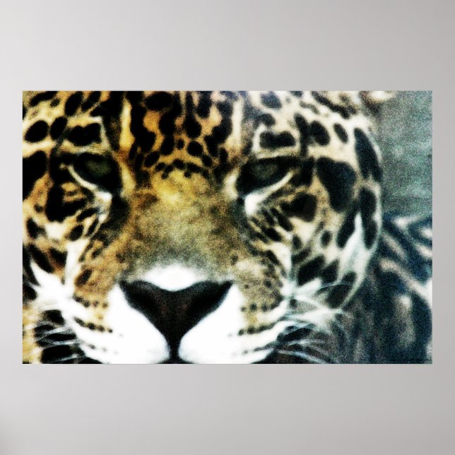 Jaguar Poster (Frente)