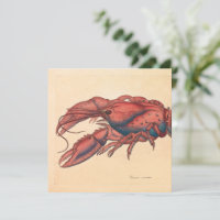 James Sowerby Sernotated Lobster