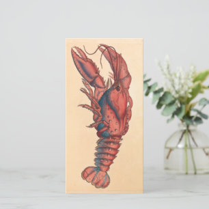 James Sowerby Sernotated Lobster