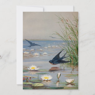 Janeiro   Fidelia Bridges