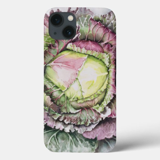 Janeiro King Cabbage (Verso)