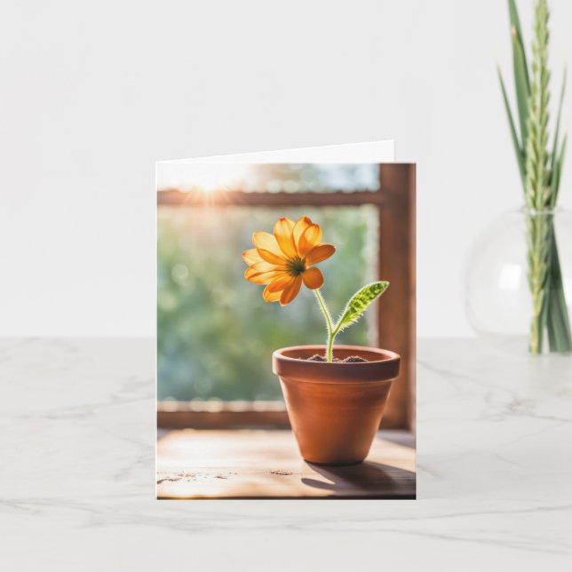 Janela Com Cartão De Nota De Margarida Laranja (Frente)