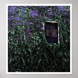 Janela Roxa ~ Poster / Impressão