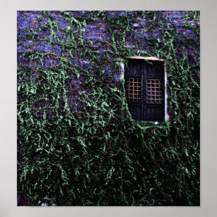 Janela Roxa ~ Poster / Impressão