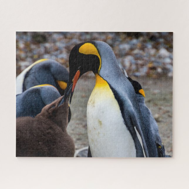 Jantar de Pinguim com Família, Quebra-Cabeça (Horizontal)