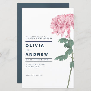 Janto de Ensaio Floral de Chrysanthemum Rosa, Rosa