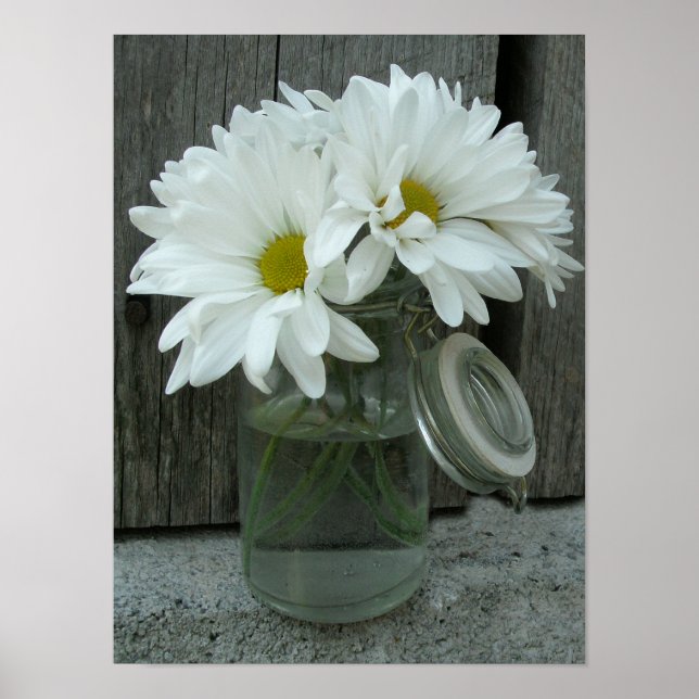 Jar Of Daisies & Barn Wood Poster (Frente)