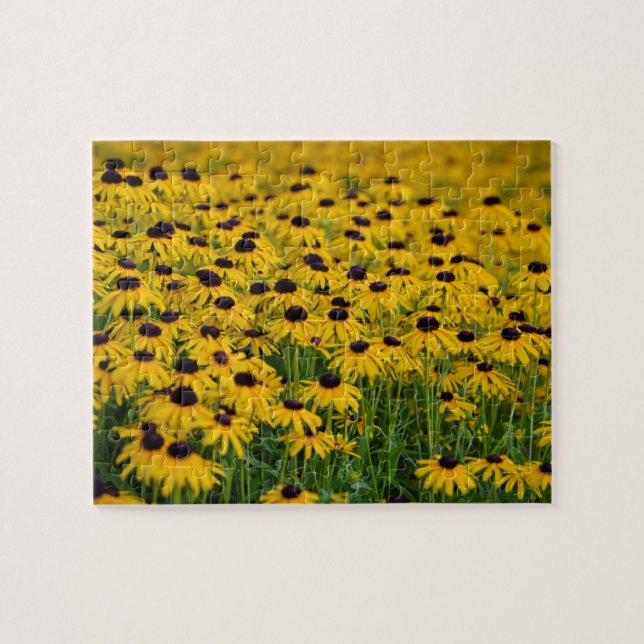 Jardim da Flor - 8x10 - Quebra-cabeça de 110 pcs J (Horizontal)