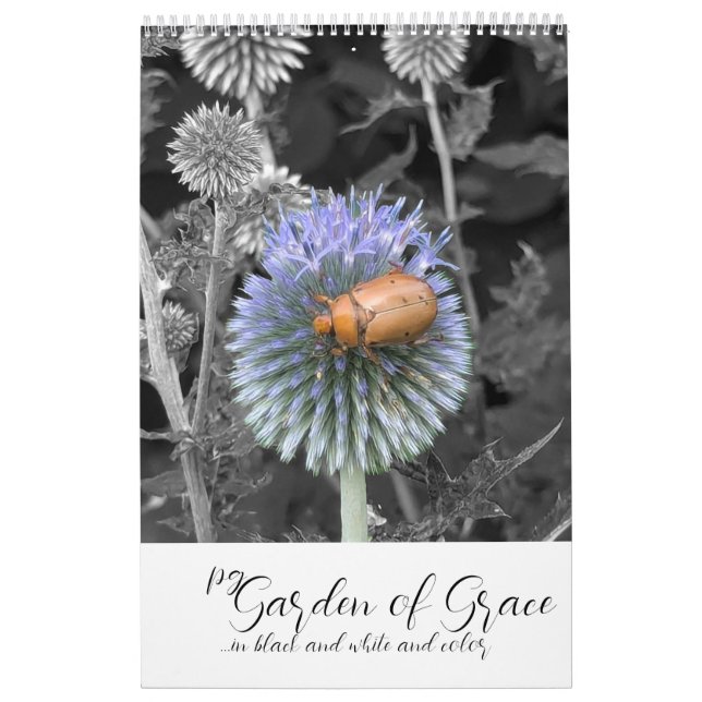 Jardim da Graça: Calendário em Preto & Branco & Co (Capa)