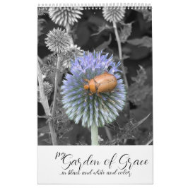Jardim da Graça: Calendário em Preto & Branco & Co