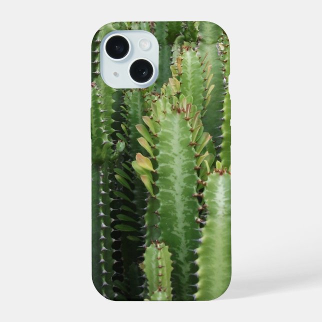 Jardim de Cactus (Verso)