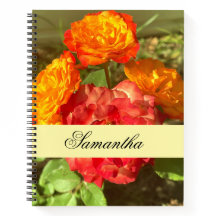 Jardim De Flor Laranja E Vermelho