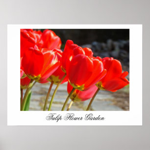 Jardim de Flores de Tulipa impressões artísticas d