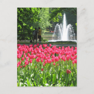 Jardim de Keukenhof - Cartão postal Holandês