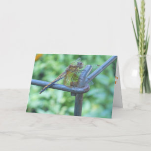 "Jardim de Libélulas" Cartão de Melhoras #2