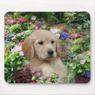 Jardim de Mousepad do golden retriever