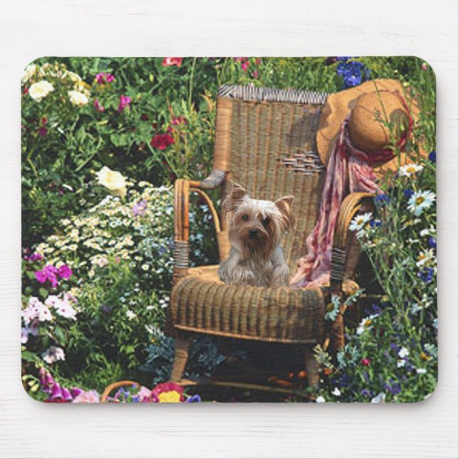Jardim de Mousepad do yorkshire terrier (Frente)
