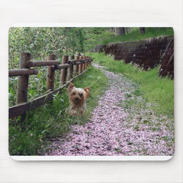 Jardim de Mousepad do yorkshire terrier (Frente)