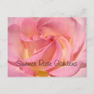Jardim de Rosas de Verão Cartão Postal Eventos Esp