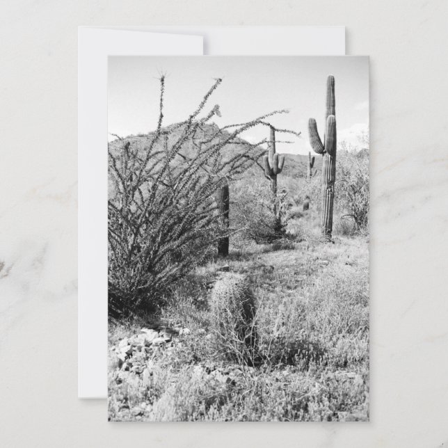 Jardim do Cowboy (Deserto do AZ Sonoran) Convite (Frente)