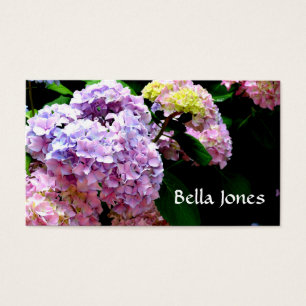 Jardim do Hydrangea