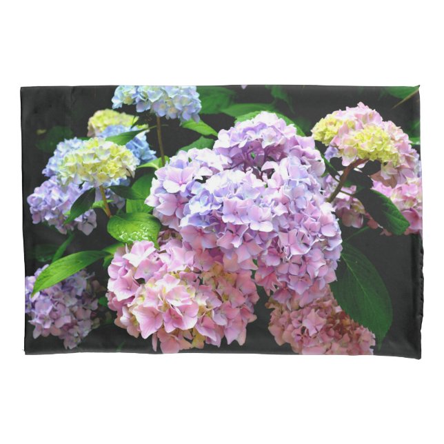 Jardim Hydrangea, rosa, azul, floral roxo (Frente)