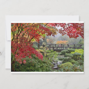 Jardim Japonês em Cartaz de Queda