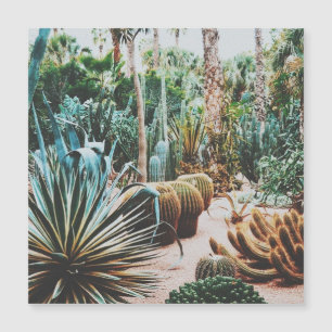 Jardim Majorelle - Marraquexe - Marrocos