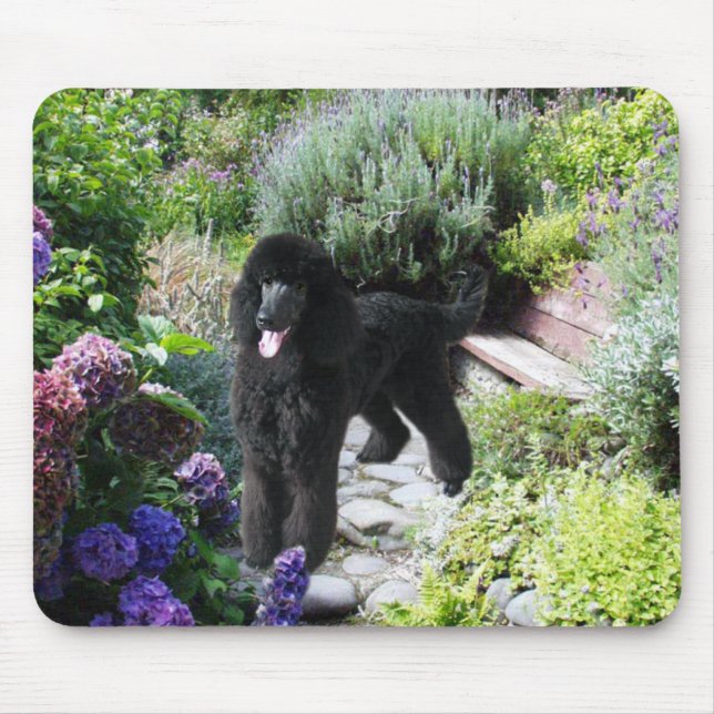 Jardim Mousepad da caniche (Frente)