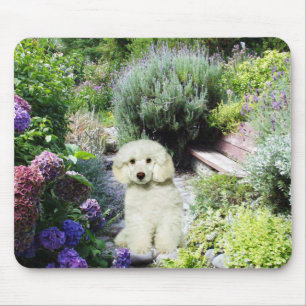 Jardim Mousepad da caniche