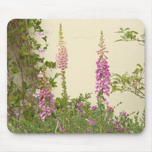 Jardim Mousepad da casa de campo do Foxglove (Frente)